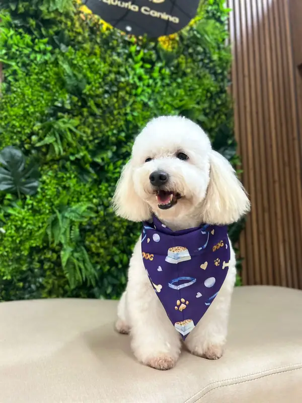 Peluquería completa