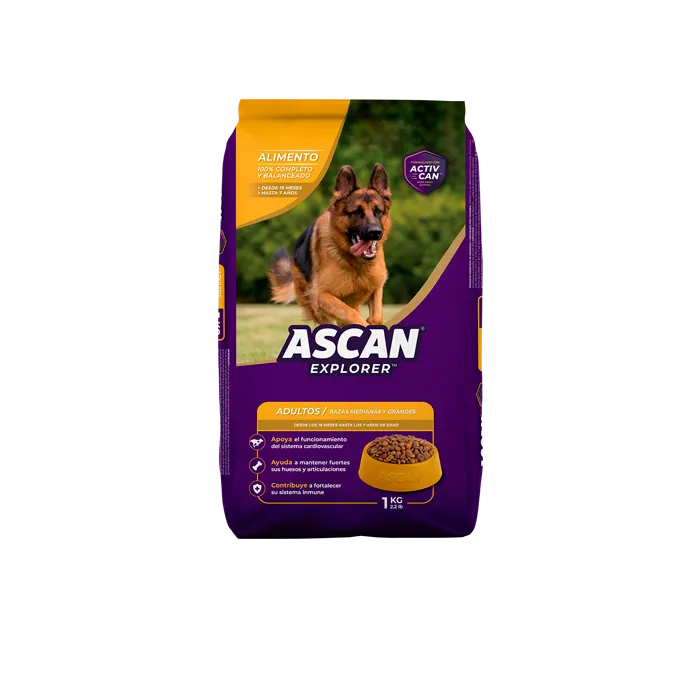 Ascan adulto 1kg