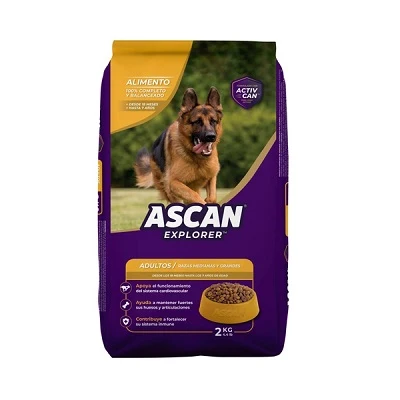 Ascan adulto 2kg